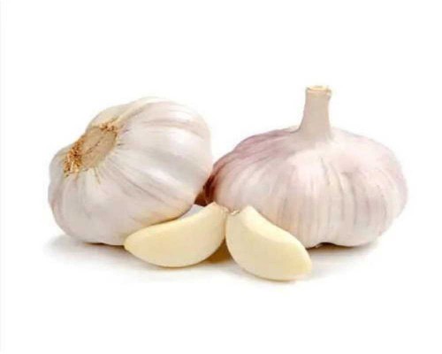 Indian Garlic