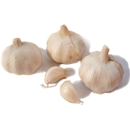 Mandsaur Garlic Manufacturers in Mandsaur