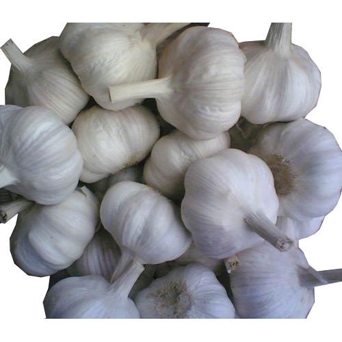 Neemuch Garlic Manufacturers in Mandsaur