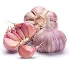 Pink Garlic Manufacturers in Mandsaur