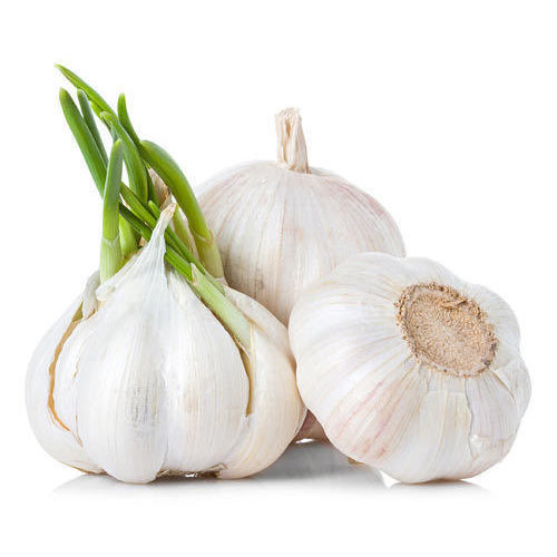 Indore Garlic Manufacturers in Mandsaur