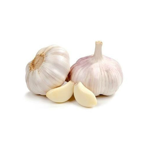 Fresh Organic Garlic Manufacturer in Mandsaur