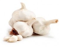 Fresh Bom Garlic Manufacturer in Mandsaur