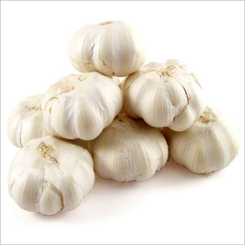 Jawara Garlic Manufacturers in Mandsaur