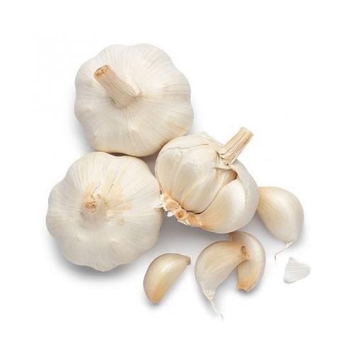 Double Bom Garlic Manufacturers in Mandsaur