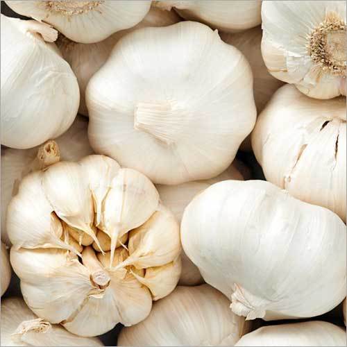 Fullgola Garlic Manufacturers in Mandsaur